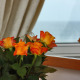 Apt 35457 - Apartment Seacliff Cape Town